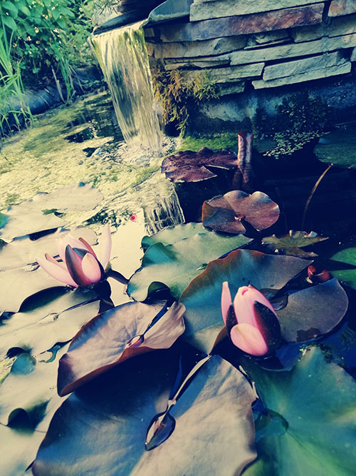 un ami qui vous veut du bien